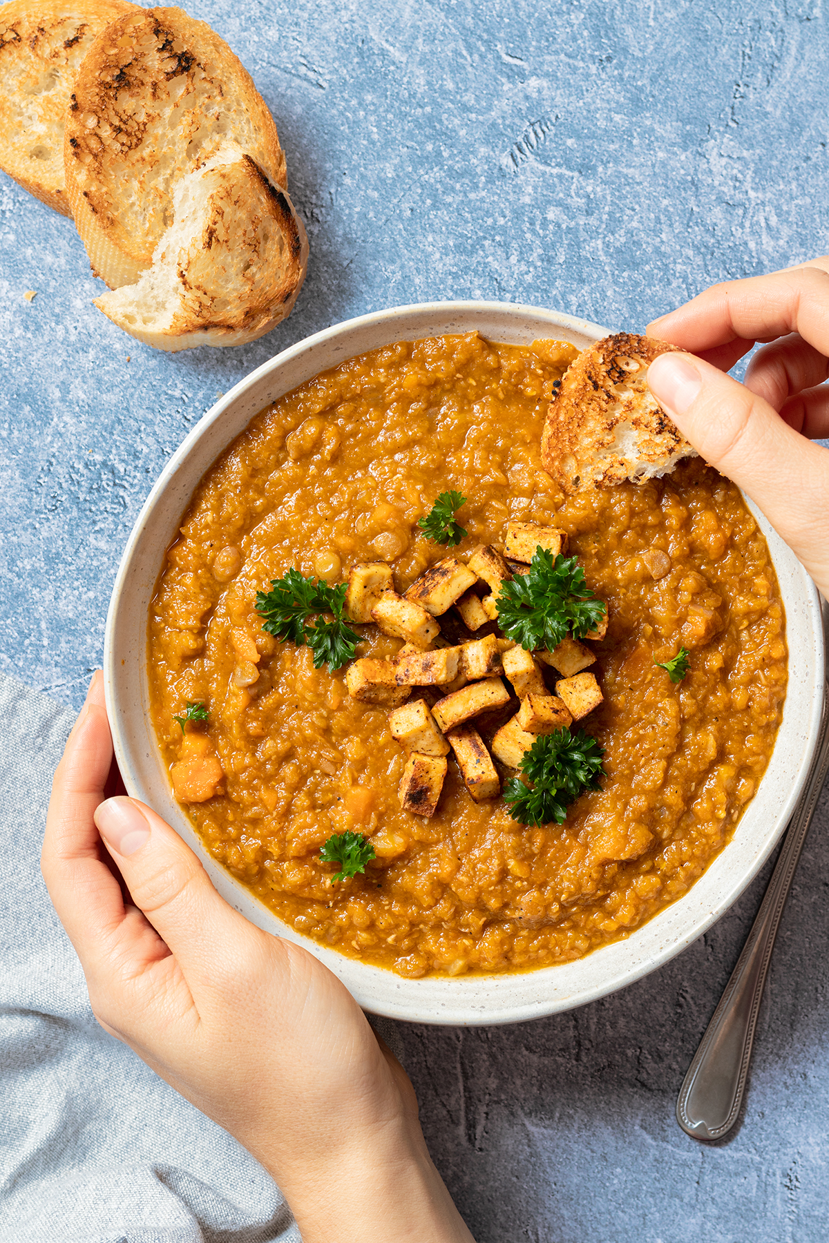 Vegetarischer Linseneintopf serviert mit knusprigen Tofu W&uuml;rfeln und getoasteten Brotscheiben, die in die Suppe eingetunkt werden.